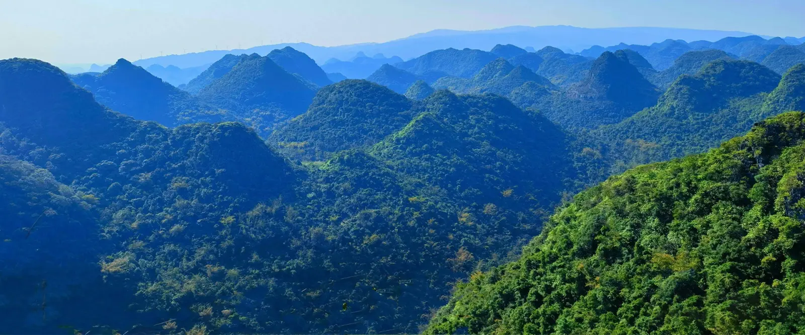 Guangxi mountain growing region